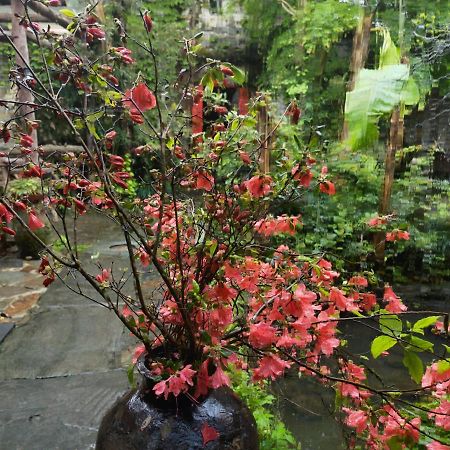 Wuyuan Qiye Yanxiang Guesthouse Exteriör bild
